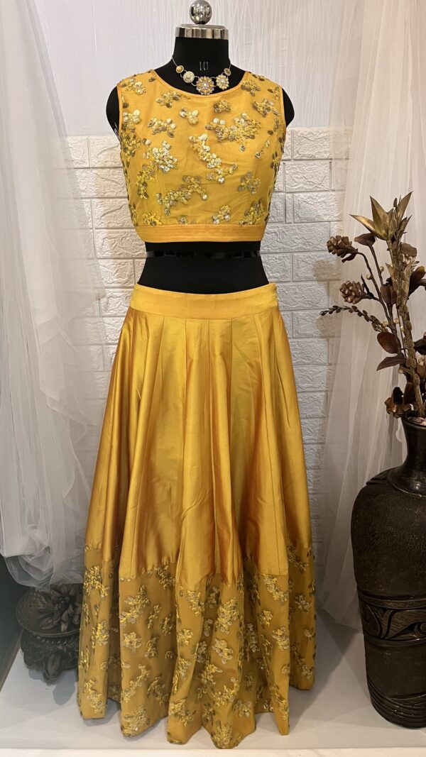 Sunshine Elegance Embroidered Lehenga