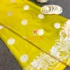 Detailed view of Lime Green Banarasi Silk Saree featuring intricate silver zari woven border and classic round motifs