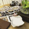 Kalahari Ikat Geometric Bed sheet Set styled with green plant and ceramics, highlighting geometric ikat design and brown border